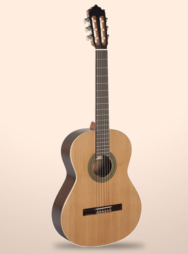 articulo12638